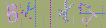 確認代碼