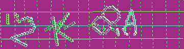 確認代碼