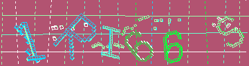 確認代碼