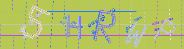 確認代碼