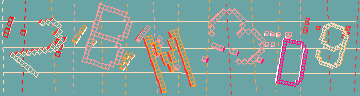 確認代碼