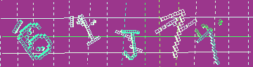 確認代碼
