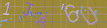 確認代碼