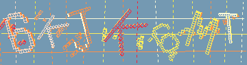 確認代碼