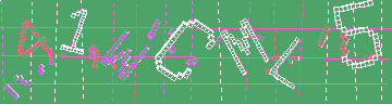 確認代碼