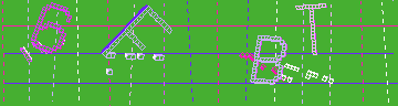 確認代碼