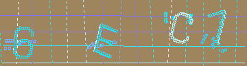 確認代碼