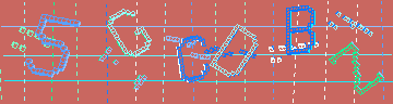 確認代碼