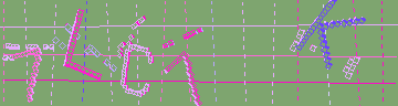 確認代碼
