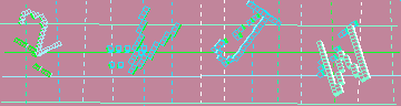 確認代碼