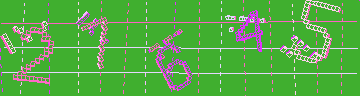 確認代碼