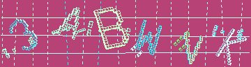確認代碼