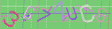 確認代碼