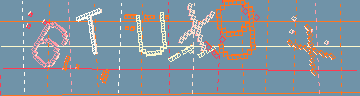 確認代碼