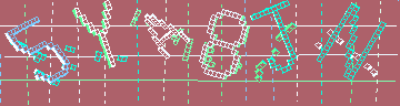 確認代碼