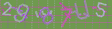 確認代碼