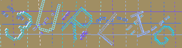 確認代碼