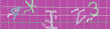 確認代碼