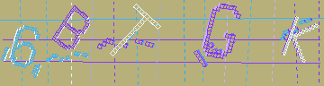確認代碼