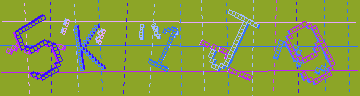 確認代碼