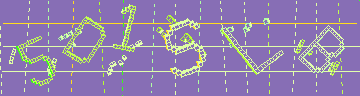 確認代碼