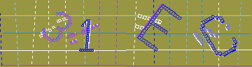 確認代碼