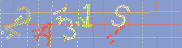 確認代碼