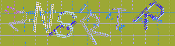 確認代碼