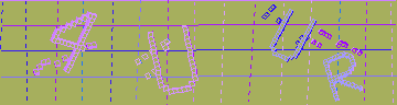 確認代碼