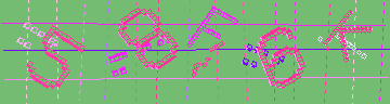 確認代碼