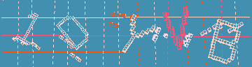 確認代碼