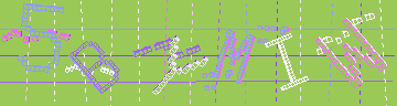 確認代碼