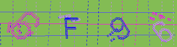 確認代碼