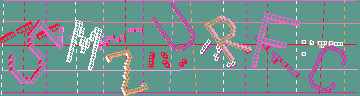 確認代碼