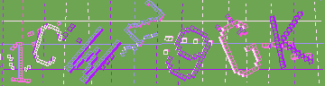 確認代碼