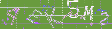 確認代碼