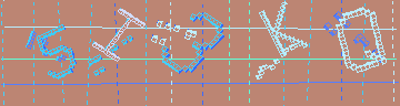 確認代碼
