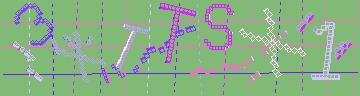 確認代碼