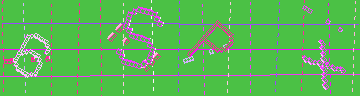 確認代碼