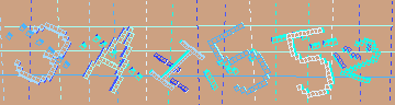 確認代碼