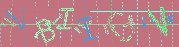 確認代碼