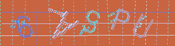 確認代碼