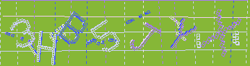 確認代碼