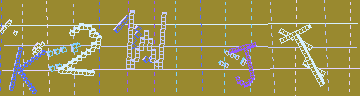 確認代碼