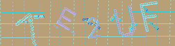 確認代碼