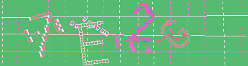 確認代碼