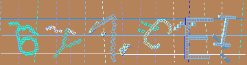 確認代碼