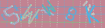 確認代碼