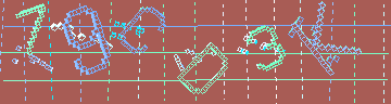 確認代碼