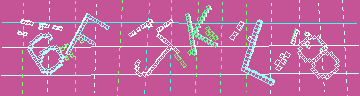確認代碼